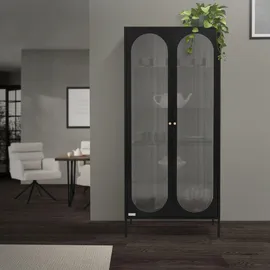 ML-Design Vitrinenschrank 80 x 175 x 40 cm Schwarz