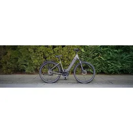Prophete Geniesser 3.3 28 Zoll RH 48 cm Matt Bronze