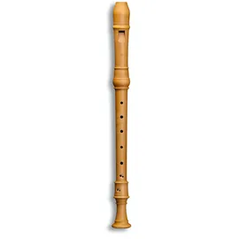 Mollenhauer DL-5206 Denner Altflöte Birnbaum