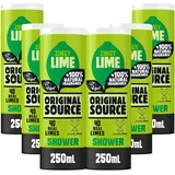 Original Source Limette Duschgel 6 x 250 ml