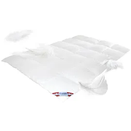 Bach's Betten Welt Canada warme Winter Daunendecke 100% Natur direkt vom Betten Fachgeschäft (155 x 220 cm)