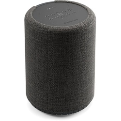 Audio Pro G10 – Speaker (Bluetooth), Multiroom System, Grau
