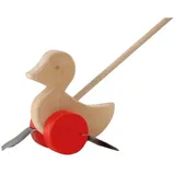 Ostheimer Watschelente rot