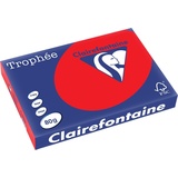Clairefontaine Trophée farbig (80 g/m2, A3,