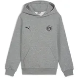 Puma Puma, BVB ESS Hoodie FL Jr, Grau, 152