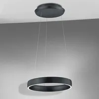 Knapstein Sara 1-flg. 40 cm rund Schwarz