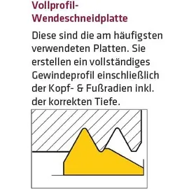 ELMAG Wendeschneidplatte 16NR14W