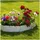Hti-Living Rasenkante Steinoptik 10-teilig 200 x 20 cm grau