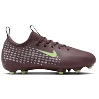 Nike Mercurial Vapor 16 Academy MG/Fg Kinder Braun/Lila 33