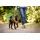 Curli Basic Geschirr Hundegeschirr Pink S