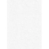 Baier & Schneider Heyda Transparentpapier 50x70 Roma weiß