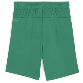 Puma teamGOAL Shorts Kinder - 140