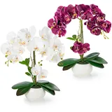 PASCH® 2er Set Orchideen künstlich in Hochglanz-Keramiktöpfen (40cm) | Kunstblumen im Topf | Kunstblumen wie echt | künstliche Orchideen im Topf | künstliche Blumen im Topf | Kunstblume Orchidee