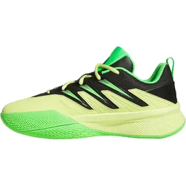 adidas Dame Certified 3 Grün 44 2/3