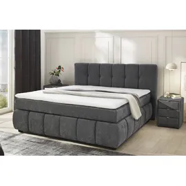Jockenhöfer Cora 180 x 200 cm H2/H3 Grau