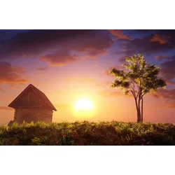 Fototapete PAPERMOON "Haus mit Baum", bunt, B:3,50m L:2,60m, Vlies, Tapeten
