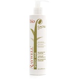 Raywell - Speedy Hair 250 ml