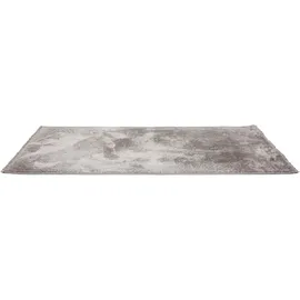Astra Teppich Stevie D.250 C.040 grau 160x230 cm