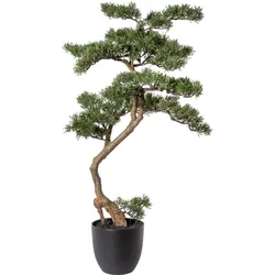 Kunstbonsai CREATIV GREEN "Bonsai Zeder", grün, B:40cm H:90cm T:30cm, Kunststoff, Kunstpflanzen
