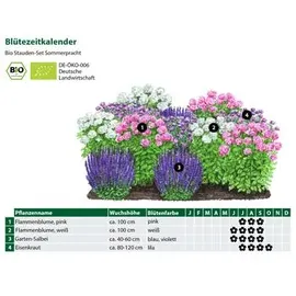 Dehner Bio Stauden-Set 12-teilig, Rosa, Weiß