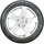 Falken Winterpeak F-Snow 1 225/55 R17 101T XL