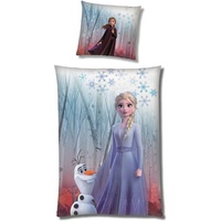 Familando Warme Frozen Die Eiskönigin Bettwäsche für Mädchen · Fleece Mädchenbettwäsche 135x200 80x80 cm · extra weiche Kuschel-Bettwäsche · Winterbettwäsche mit Anna und ELSA Motiv