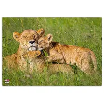 Veloflex Schreibtischunterlage Löwen Kunststoff 50,0 x 35,0 cm, 1 St.