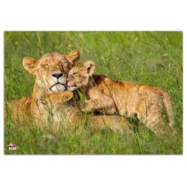 Veloflex Schreibtischunterlage Löwen Kunststoff 50,0 x 35,0 cm, 1 St.