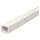 OBO Bettermann Vertr Wand- und Deckenkanal 20x20x2000 PVC cws WDK20020CW