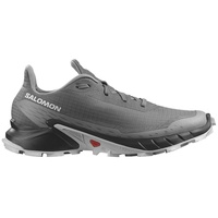 Salomon Herren Alphacross 5 grau 42.0