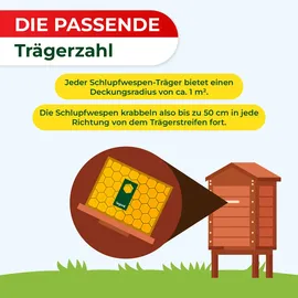 legona-de Schlupfwespen gegen Wachsmotten