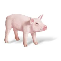 tiptoi® Ferkel