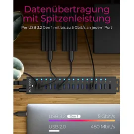 Icy Box Raidsonic ICY BOX 16+1 port USB Hub, 16x USB, 1x USB Laden, USB 3.2 Gen 1