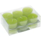 Wiedemann Kerzen Teelichter in Kunststoffhülle Fresh 18 mm 12 St. grün