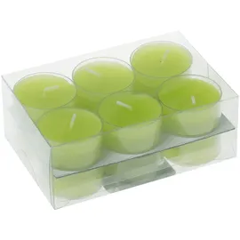 Wiedemann Kerzen Teelichter in Kunststoffhülle Fresh 18 mm 12 St. grün