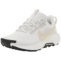 Nike Pegasus Trail 5 Damen Grau / Silber 40