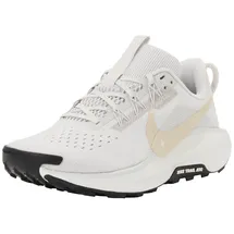 Nike Pegasus Trail 5 Damen Grau / Silber 40