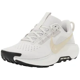 Nike Pegasus Trail 5 Damen Grau / Silber 40