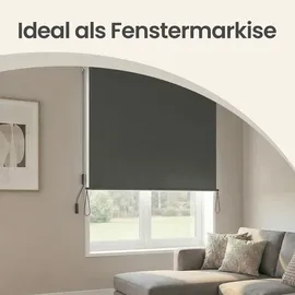 Songmics Senkrechtmarkise 250 x 160 cm grau Polyester