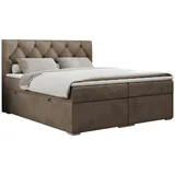 MKS Boxspringbett 160 x 200 cm H3 Braun