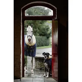 Kentucky Show Rug 160g 130 cm Schwarz
