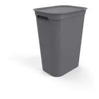 Rotho BRISEN 50 Liter Wäschekorb aus Kunststoff, Anthrazit