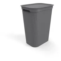 Rotho BRISEN 50 Liter Wäschekorb aus Kunststoff, Anthrazit