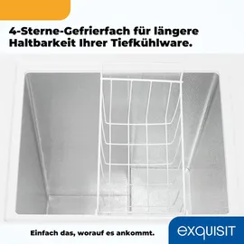 Exquisit Gefriertruhe, Kombigerät, 2-in-1, 99 Liter, Tiefkühltruhe, Kühlen, 4-Sterne-Gefrieren, Gefriertruhe klein, Toplader, Gefrierkorb, GT100-050E weiss