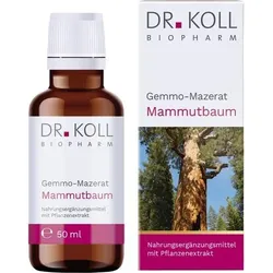 GEMMO Mazerat Mammutbaum Dr.Koll Sequoia gigantea 50 ml