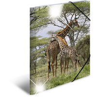 Herma Sammelmappe Tiere A3 giraffe