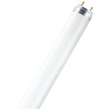 Osram Leuchtstoffröhre G13 - 30 W, 2400 Lumen, Warmweiß 900 mm