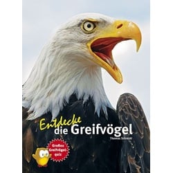 Entdecke die Greifvögel