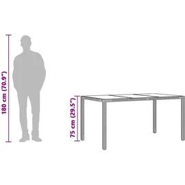 vidaXL Gartentisch mit Glasplatte 150 x 90 x 75 cm Schwarz