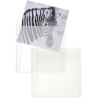 100 Stück, Transparente Briefumschläge, 170 x 170 mm, Haftklebung mit Abziehstreifen, Gerade Klappe, 100 g/qm Offset, Ohne Fenster, Weiß (Transparent-Weiß), Blanke Briefhüllen